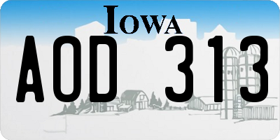 IA license plate AOD313