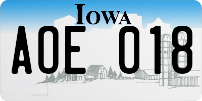 IA license plate AOE018