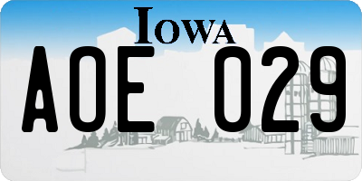 IA license plate AOE029