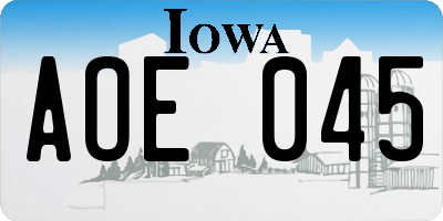 IA license plate AOE045