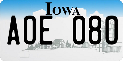 IA license plate AOE080