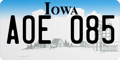 IA license plate AOE085