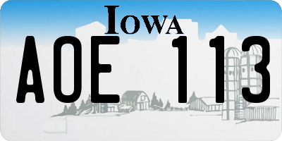 IA license plate AOE113