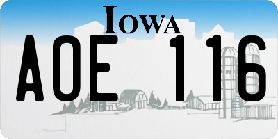 IA license plate AOE116