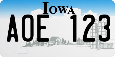 IA license plate AOE123