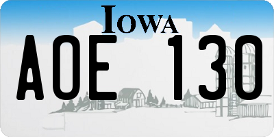 IA license plate AOE130