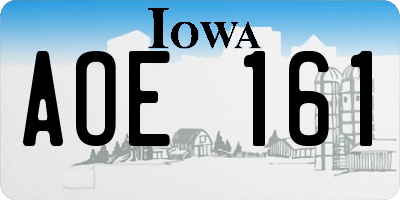 IA license plate AOE161