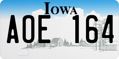 IA license plate AOE164
