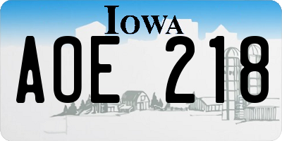 IA license plate AOE218
