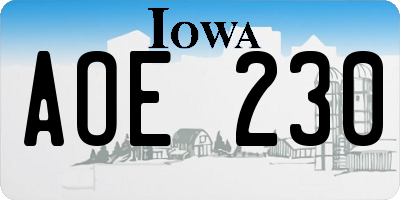 IA license plate AOE230