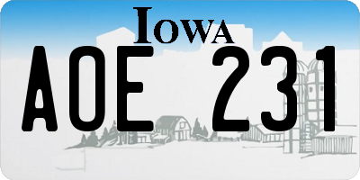 IA license plate AOE231