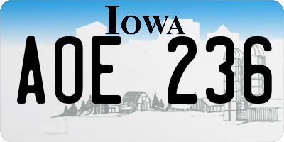 IA license plate AOE236