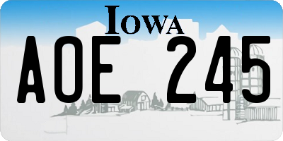 IA license plate AOE245