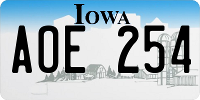 IA license plate AOE254