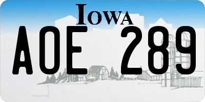 IA license plate AOE289