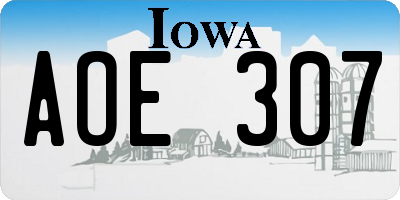 IA license plate AOE307