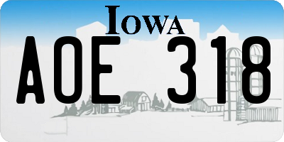 IA license plate AOE318