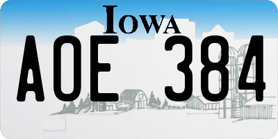 IA license plate AOE384