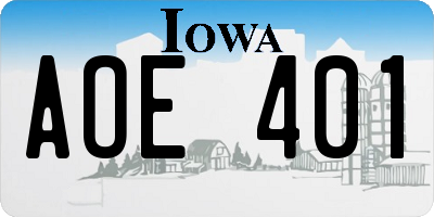 IA license plate AOE401