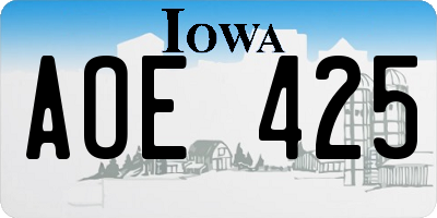 IA license plate AOE425