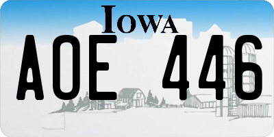 IA license plate AOE446