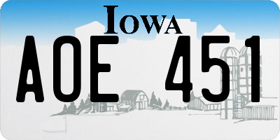 IA license plate AOE451