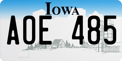 IA license plate AOE485