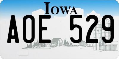 IA license plate AOE529