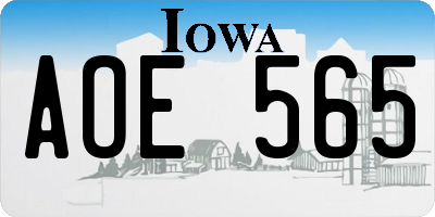 IA license plate AOE565