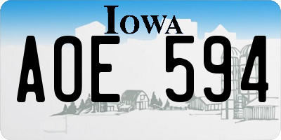 IA license plate AOE594