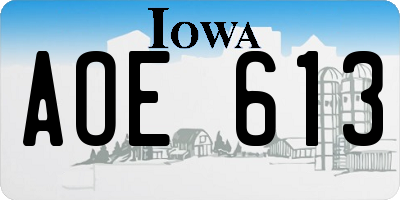 IA license plate AOE613