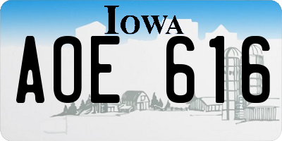 IA license plate AOE616