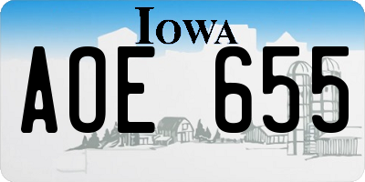 IA license plate AOE655