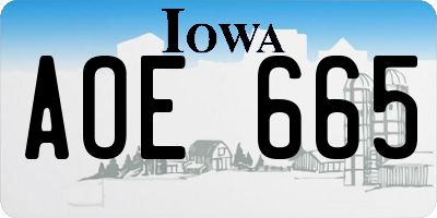 IA license plate AOE665