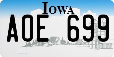 IA license plate AOE699