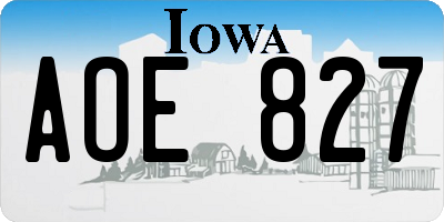 IA license plate AOE827