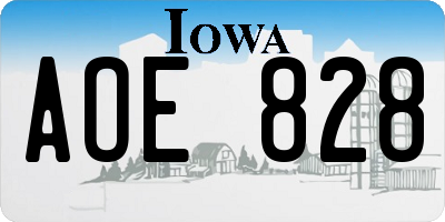 IA license plate AOE828