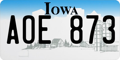 IA license plate AOE873