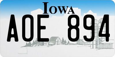 IA license plate AOE894