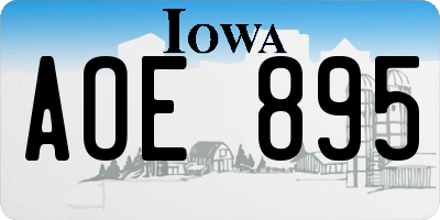IA license plate AOE895