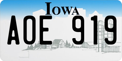 IA license plate AOE919