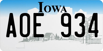 IA license plate AOE934
