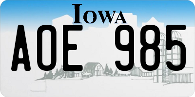 IA license plate AOE985