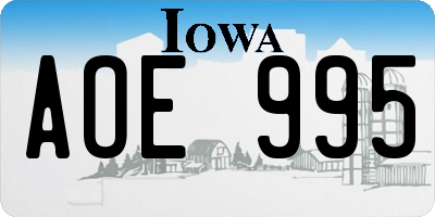 IA license plate AOE995