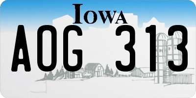 IA license plate AOG313