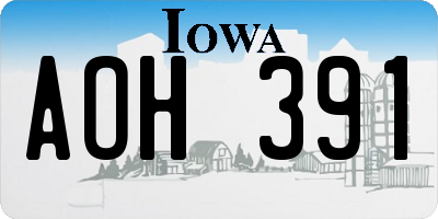 IA license plate AOH391