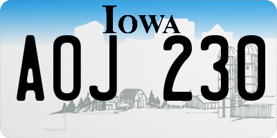 IA license plate AOJ230