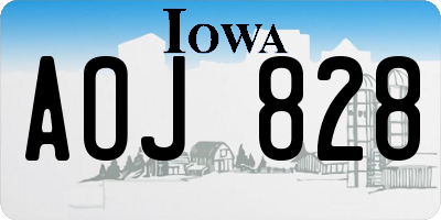 IA license plate AOJ828