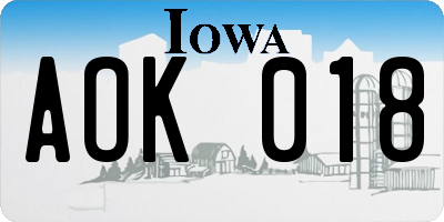 IA license plate AOK018