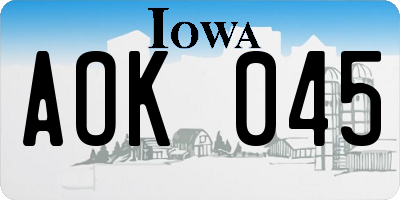 IA license plate AOK045